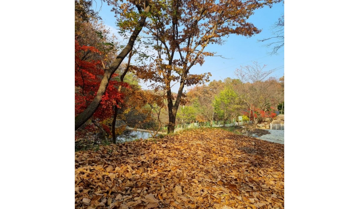 둘러보기